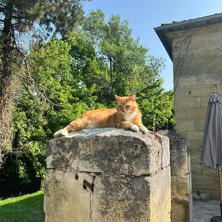 Malis Castera Le Petit Chateau 3*